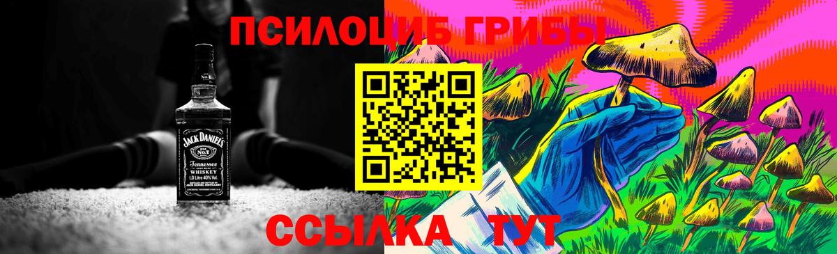Псилоцибиновые грибы Psilocybine cubensis  Галлюциногенные грибы Cubensis  Партизанск  Вход с VPN 