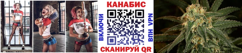 Каннабис OG Kush  Партизанск 